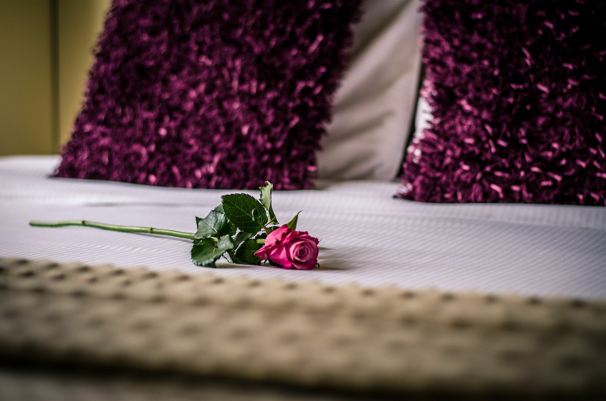 Hotel Botaniek Брюж Екстериор снимка